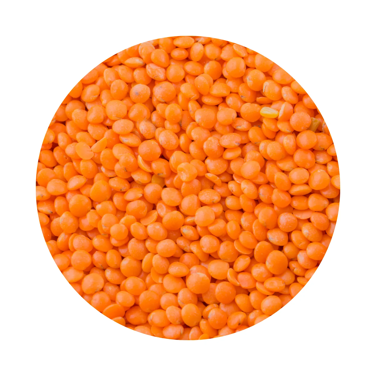 Linser Röda Hela EKO 5kg